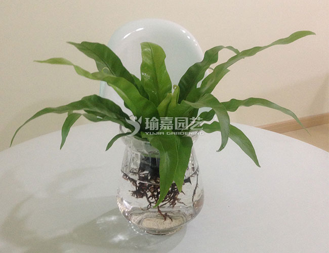 ˮ������